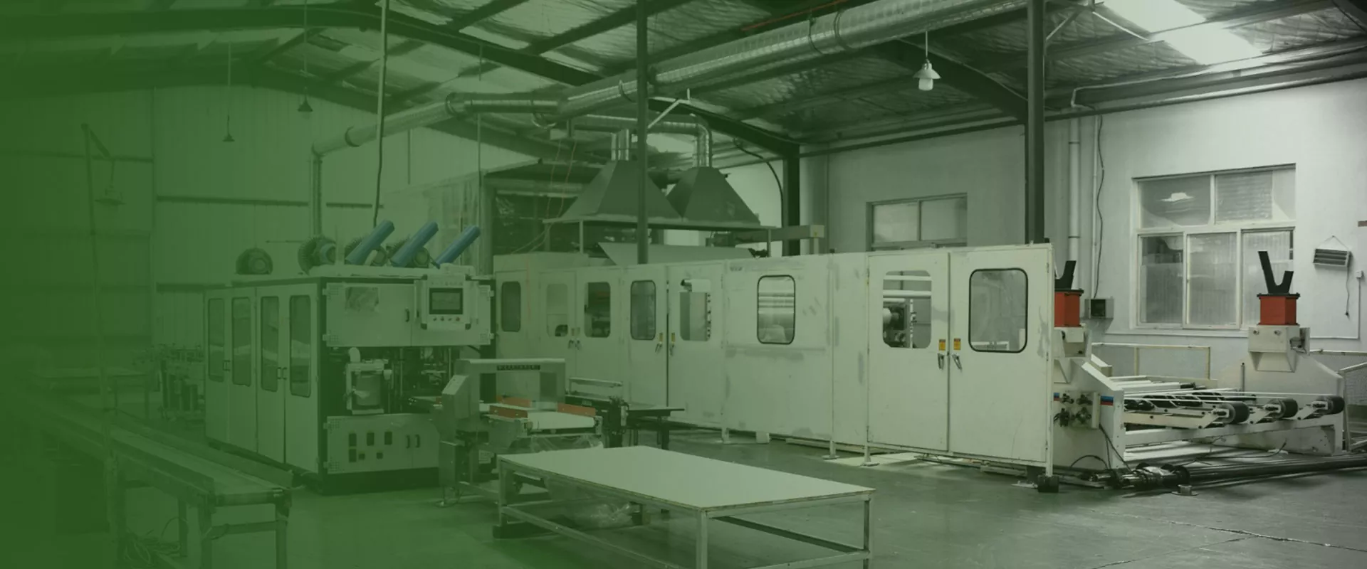 Cina Finita Factory Tissue