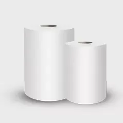Cosa rende la carta sanitaria essenziale per l'igiene e il comfort quotidiani?