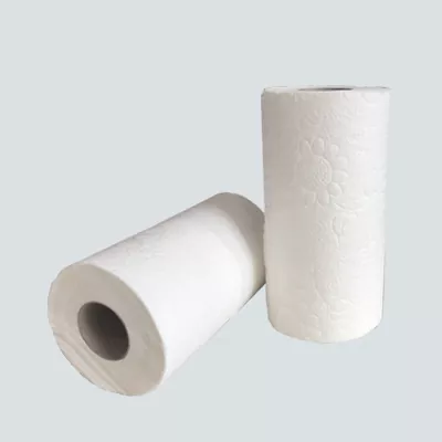 Rotolo di asciugamani da cucina