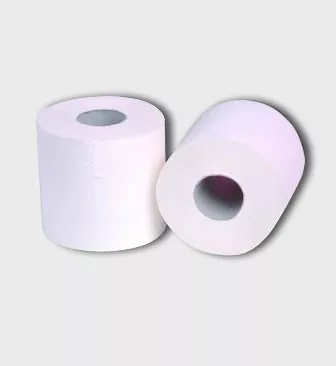 Rotoli di carta igienica